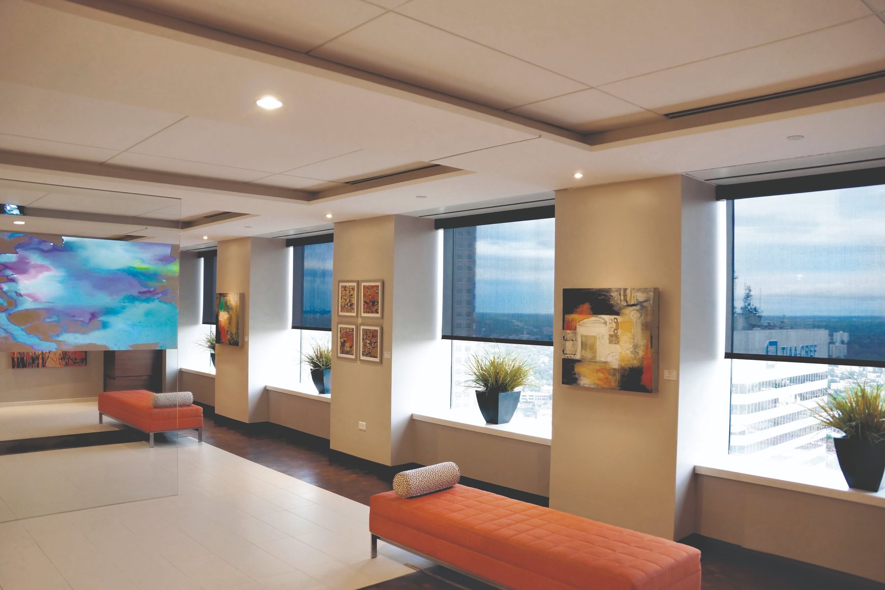 Black and solar interior roller shades on office windows, a clean commercial look for Frisco and Prosper buildings